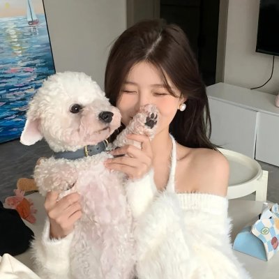 疯狂趴到家